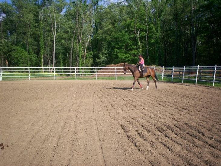 Outdoor Arena outdoor arena